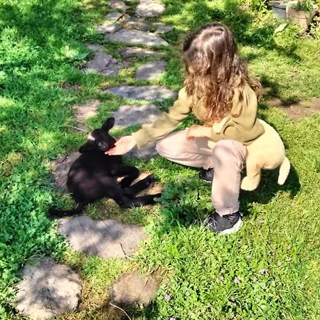Parque de Campismo Caravana Em Quinta Lameiras Tomar