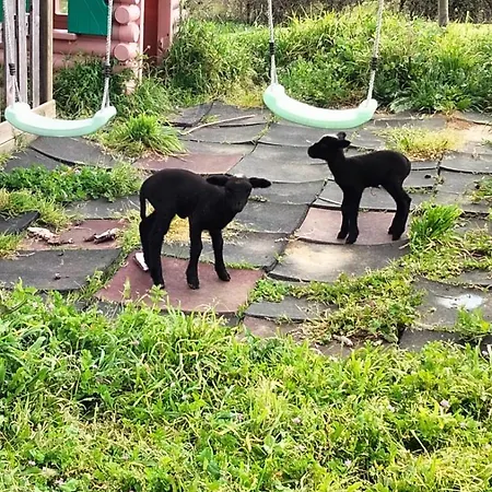 Camping Caravana Em Quinta Lameiras Tomar