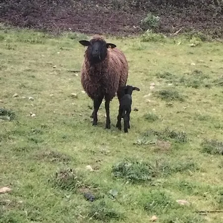Caravana Em Quinta Lameiras *