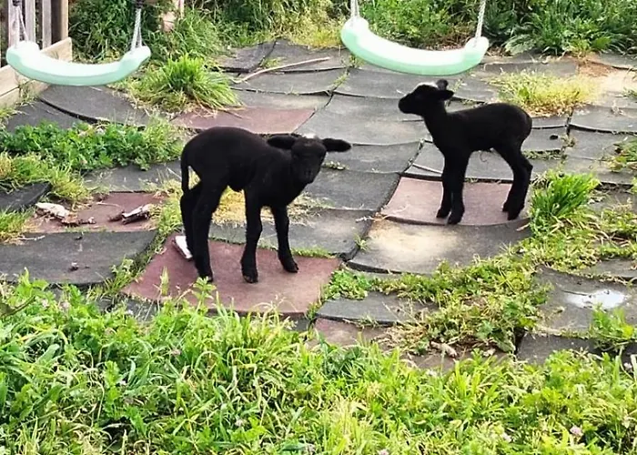 Camping Caravana Em Quinta Lameiras Tomar